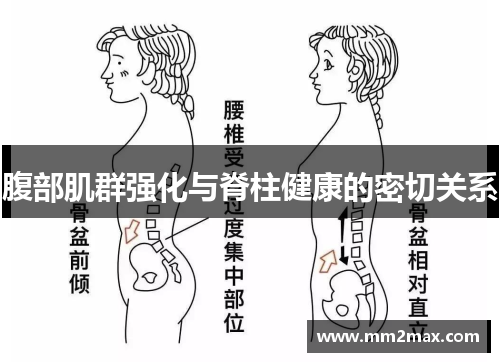 腹部肌群强化与脊柱健康的密切关系